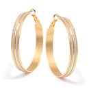 Gold Silver Sanded Glitter Hoop Earrings