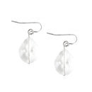 Oval Shape Clear Bead Silver Earrings 